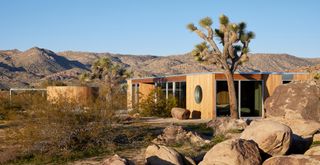 Homestead Modern's Landing House among desert flora