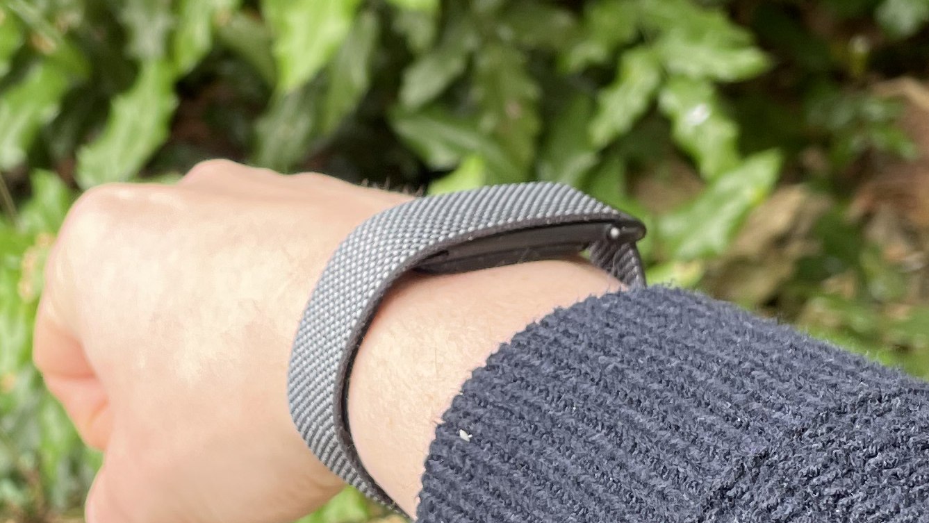 Google Fitbit Air