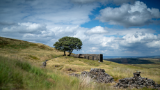 A view of the derelict Top Withins Farm House on the North Yorkshire moors