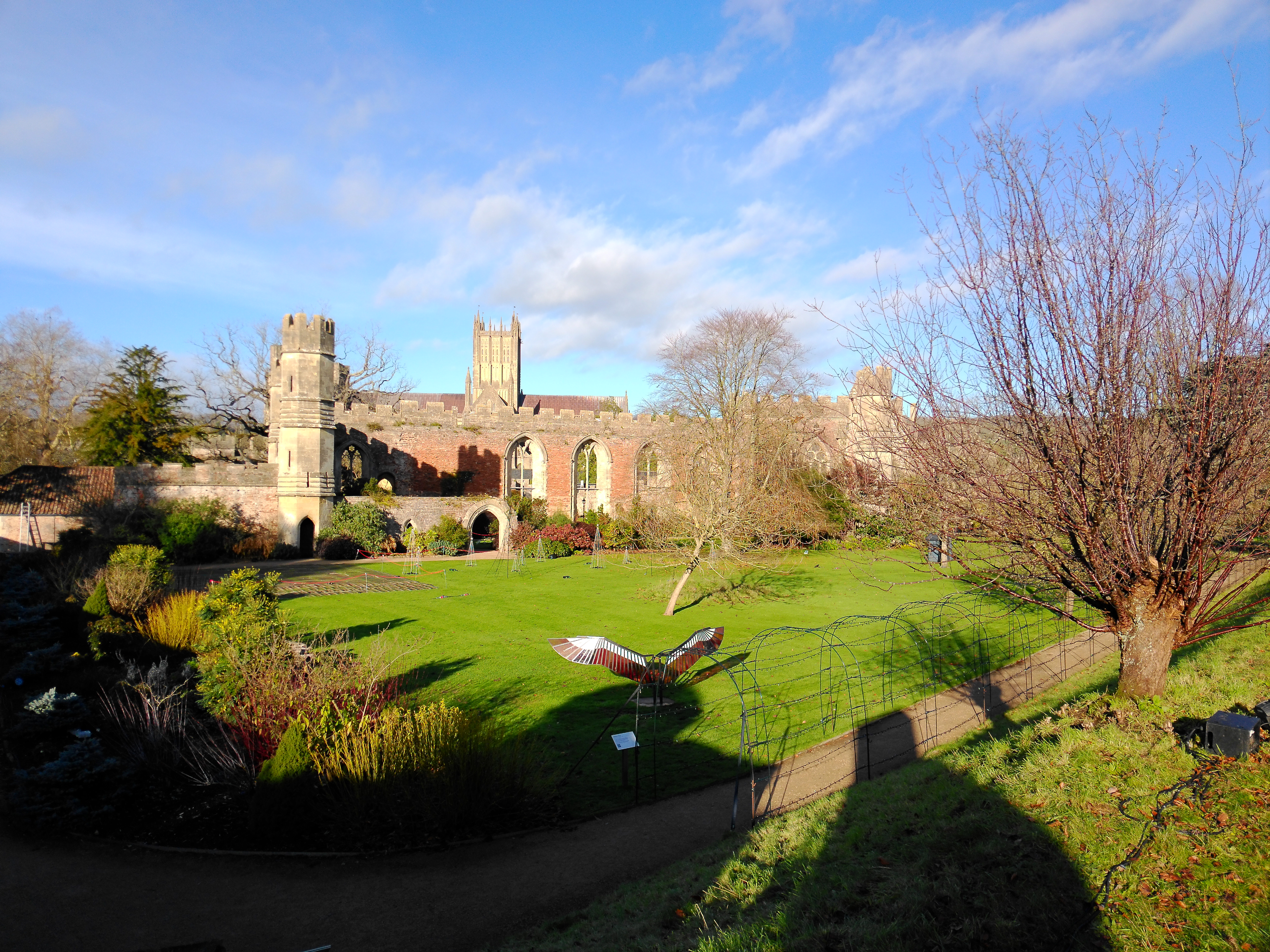 Yashica City 300 example shot