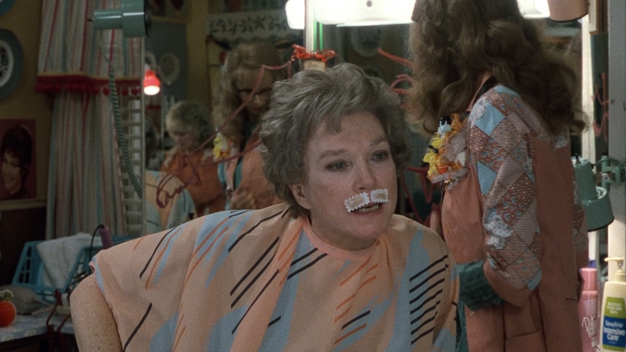 32 Memorable Quotes From Steel Magnolias