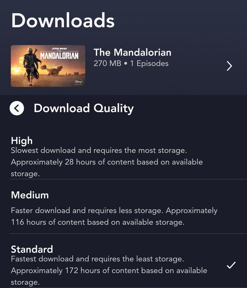 Disney+ standard download example