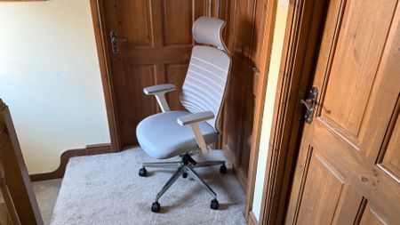 Pictures of the Branch Office chair. 