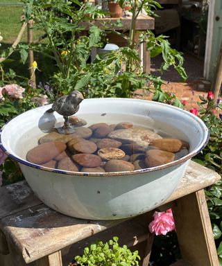 ceramic bird bath bowl filled with stones and water