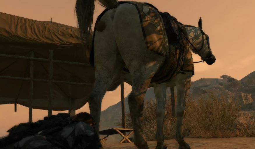 Source: MGSV D horse poop - Afanas Sclifos (https://youtu.be/AeuG2oryJm0)