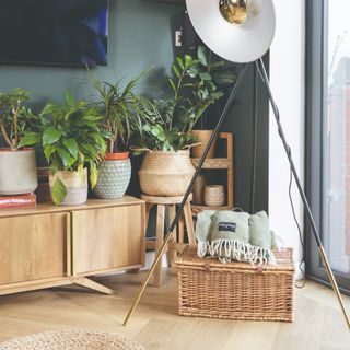 A low wooden TV bench with plants on top and a TV hung on the wall above it