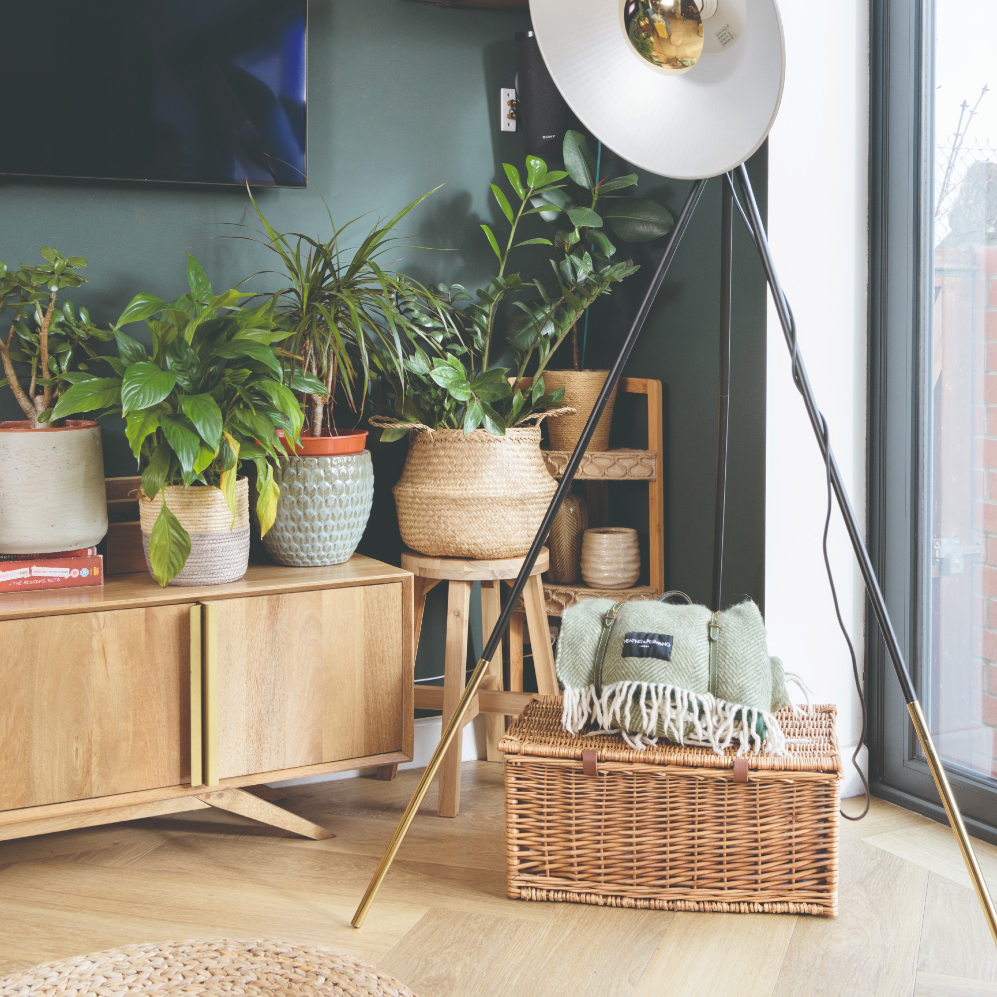 Un banco de televisión de madera baja con plantas en la parte superior y un televisor colgado en la pared sobre él