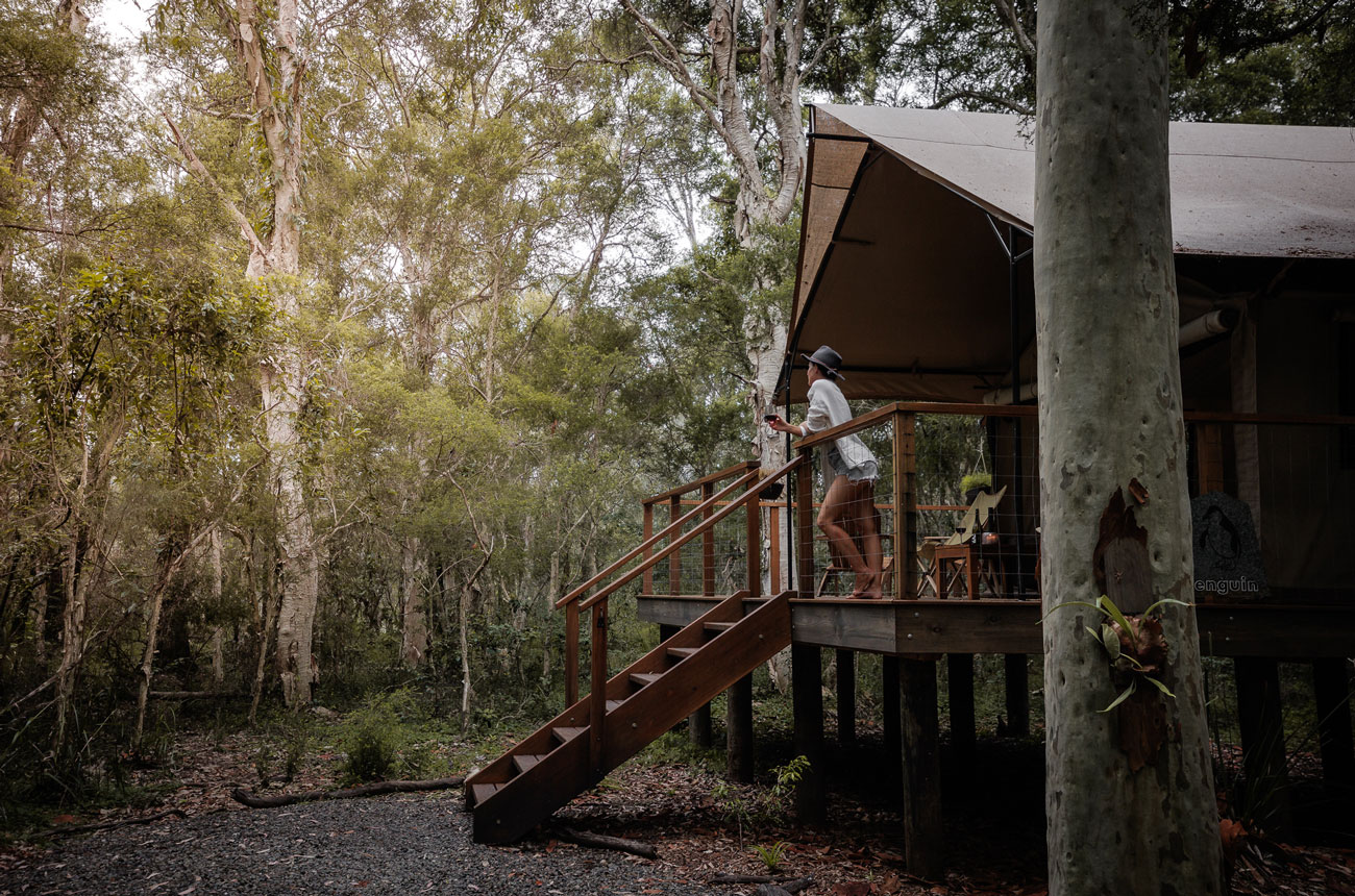 Paperbark Camp, Kangaroo Valley, Australia