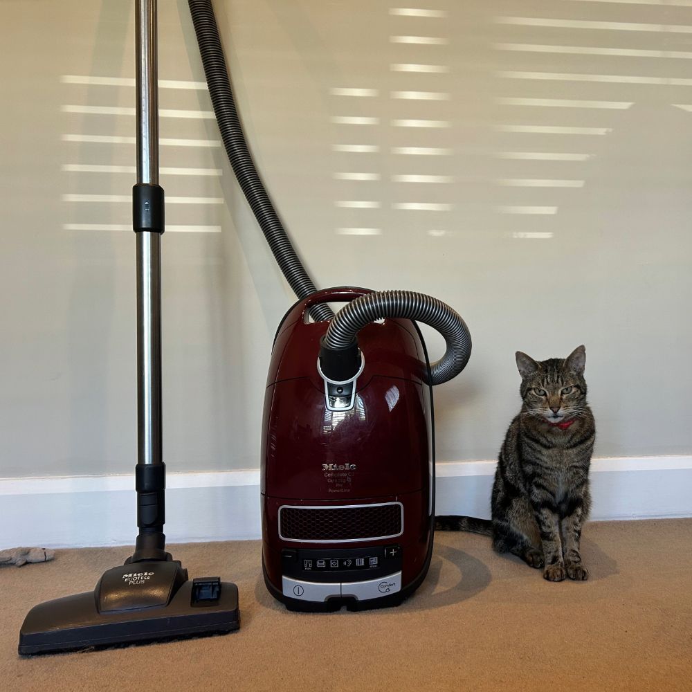 Megan's cat Chilli standing next to the Miele Complete C3 Cat &amp; Dog PowerLine , one of the best vacuum cleaners for pet hair