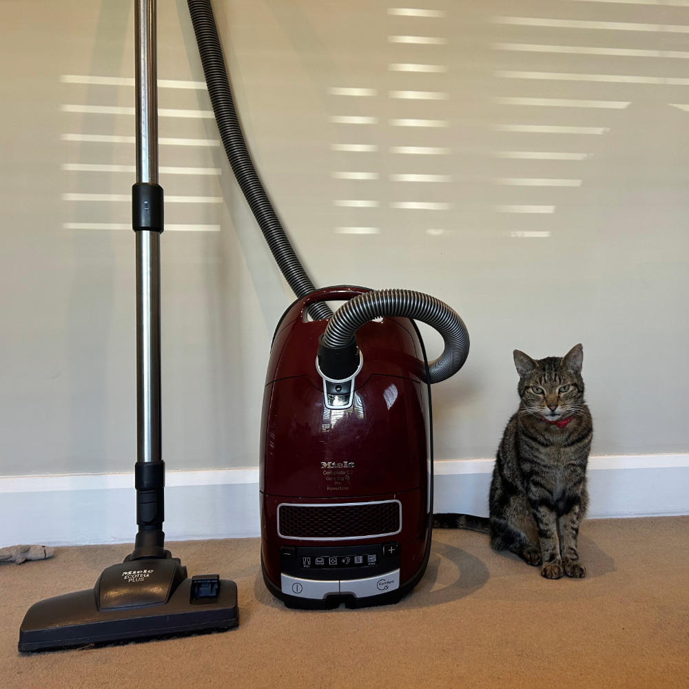 Megan's cat Chilli standing next to the Miele Complete C3 Cat & Dog PowerLine , one of the best vacuum cleaners for pet hair