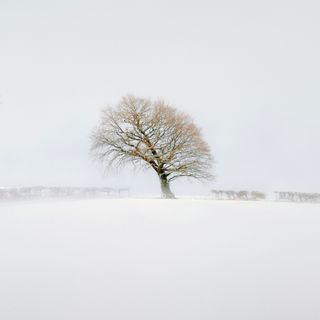 Photograph titled The Wishing Tree by Aaron Northwood, Overall Youth Winner in the Landscape Photographer of the Year 2023 competition