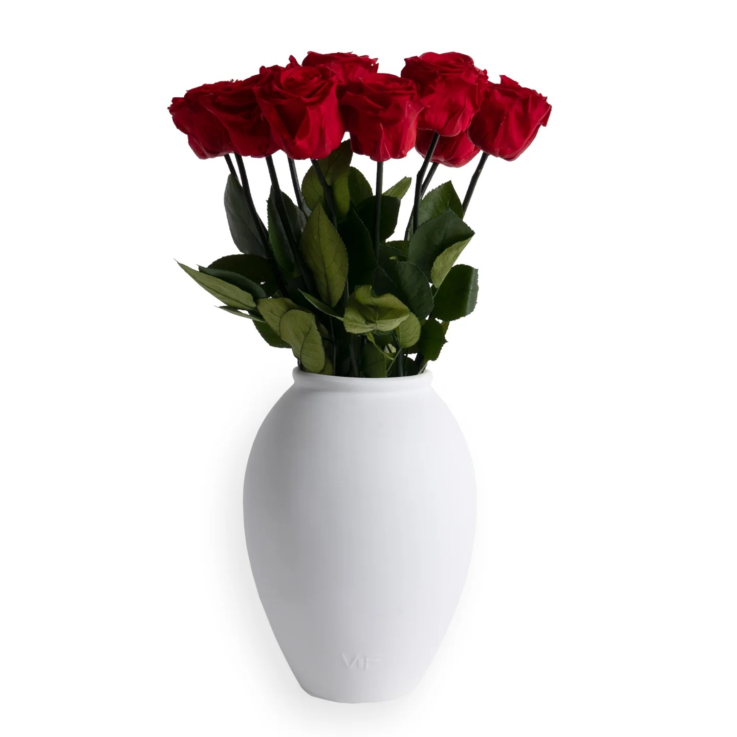 Venus ET Fleur, Amphora Porcelain Vase