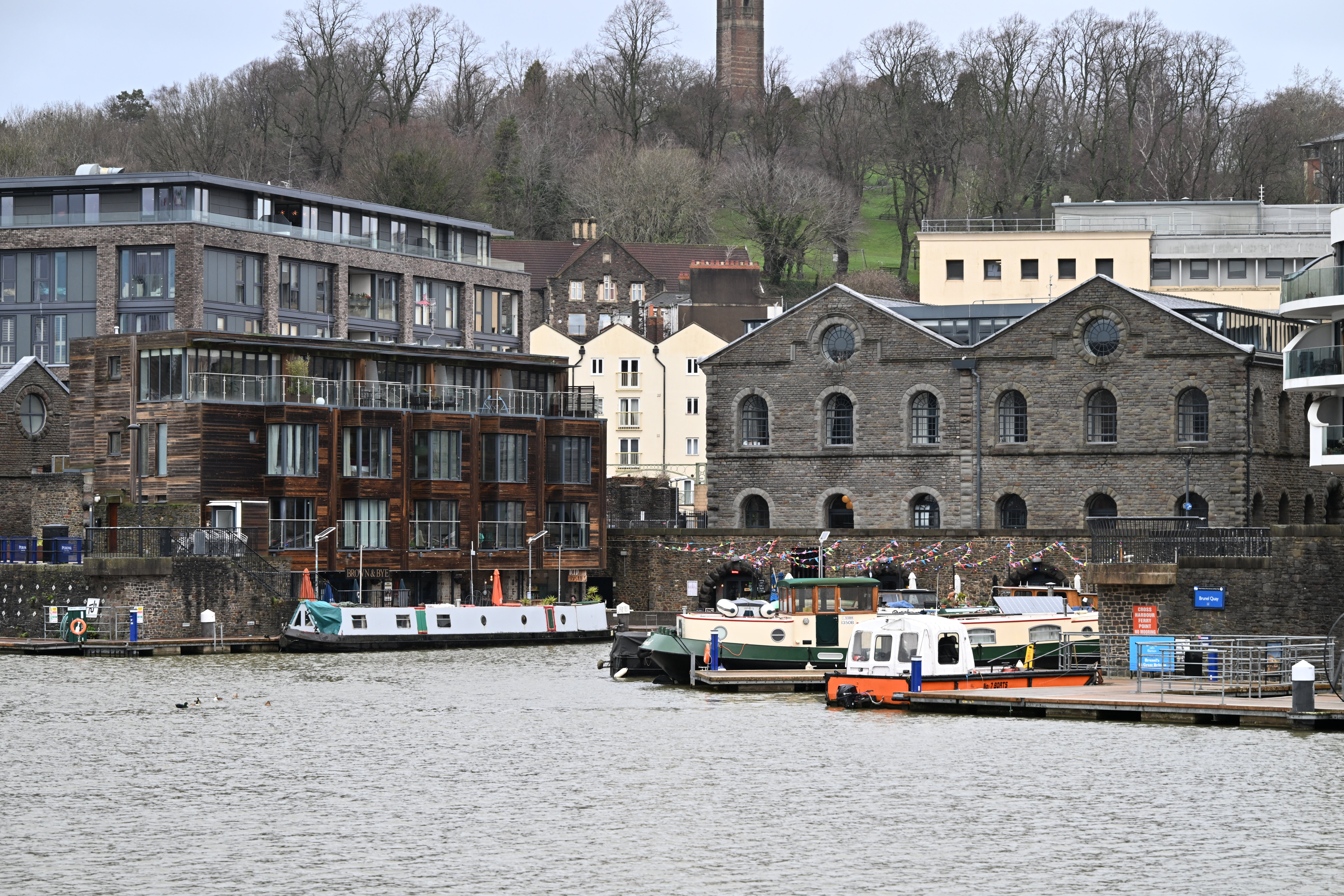 Nikon Z 24-105mm f/4-7.1 sample shot