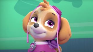 Skye from Paw Patrol on Noggin