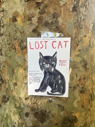 The (Not a) Lost Cat poster