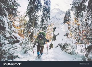Hiking in a snowy forest image by everst