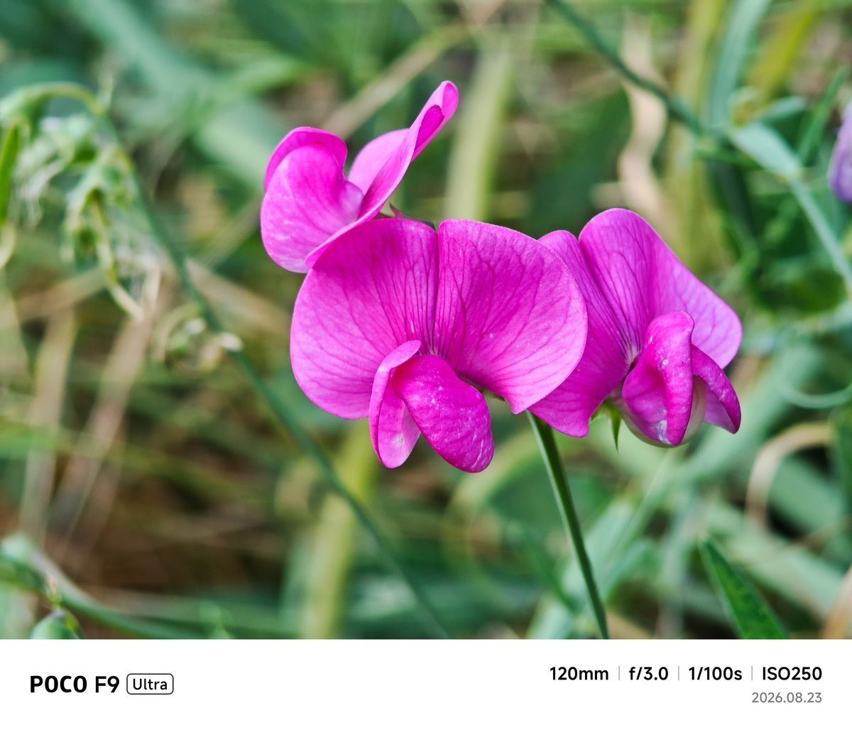 Poco F9 Ultra sample images
