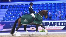 Man rides bay horse ho wears a green rug