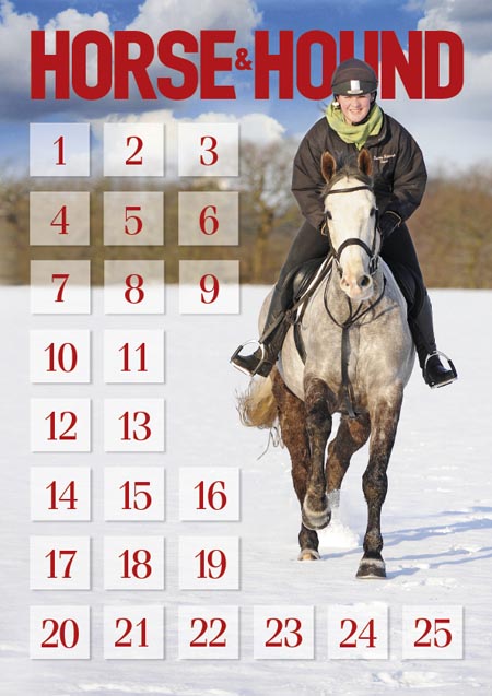 Advent2011.jpg