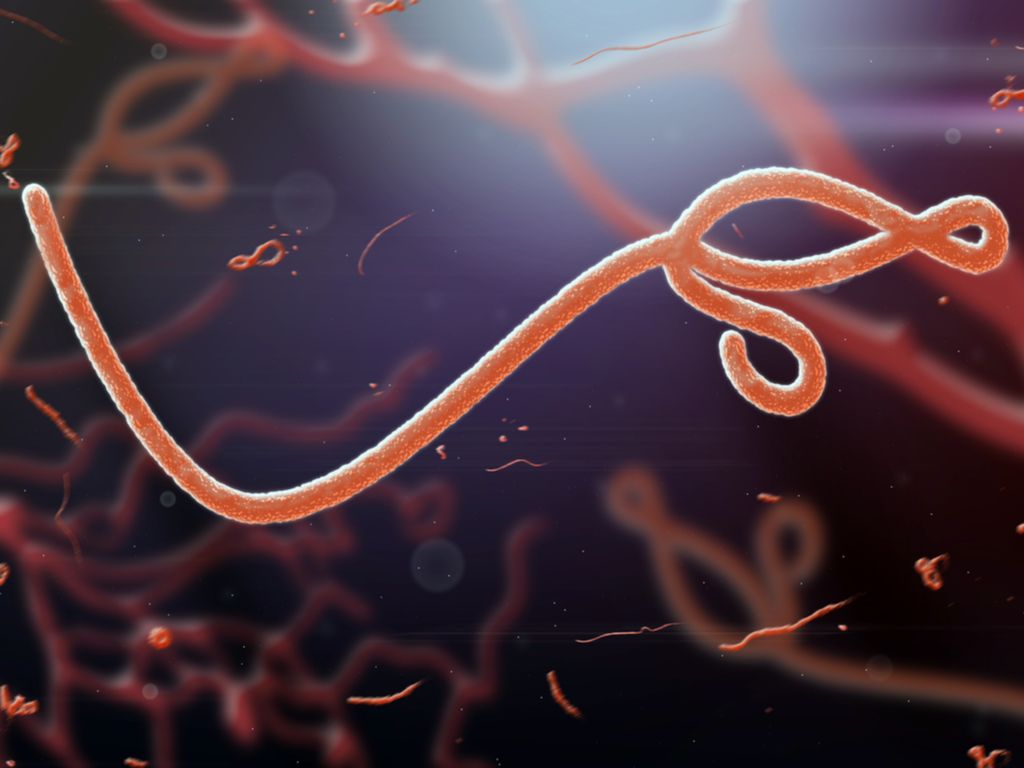 ebola giant microbe