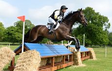 PAULANK-KINGS-RIVER_Houghton16pn_8172.jpg