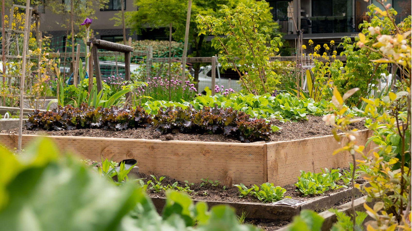 Raised garden bed