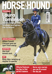 HHcov14Jan180-lr.jpg