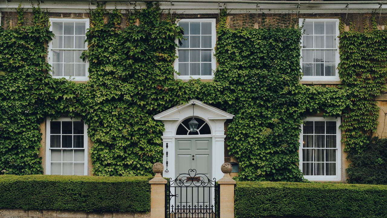 period home covered in ivy