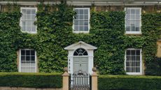 period home covered in ivy