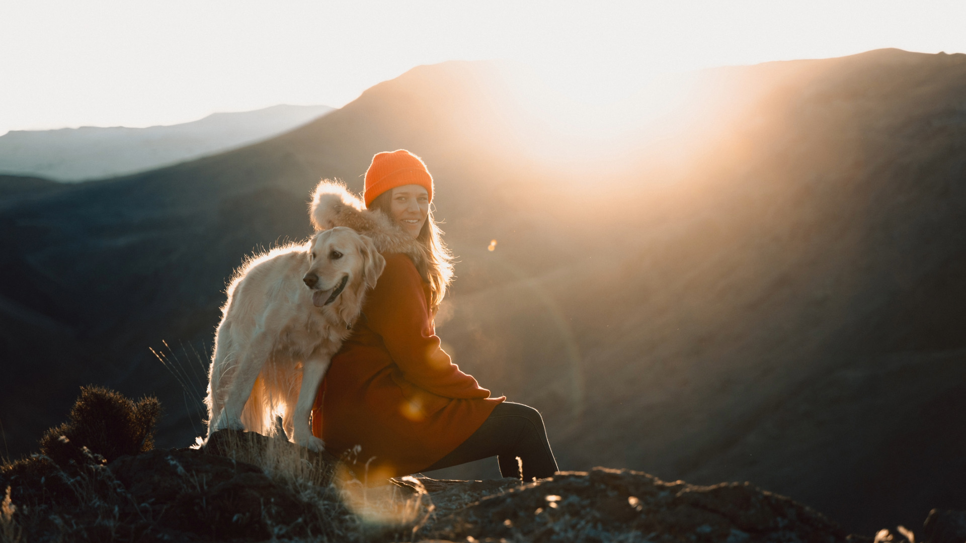 a large dog leans against a smiling woman on the top of a mountain