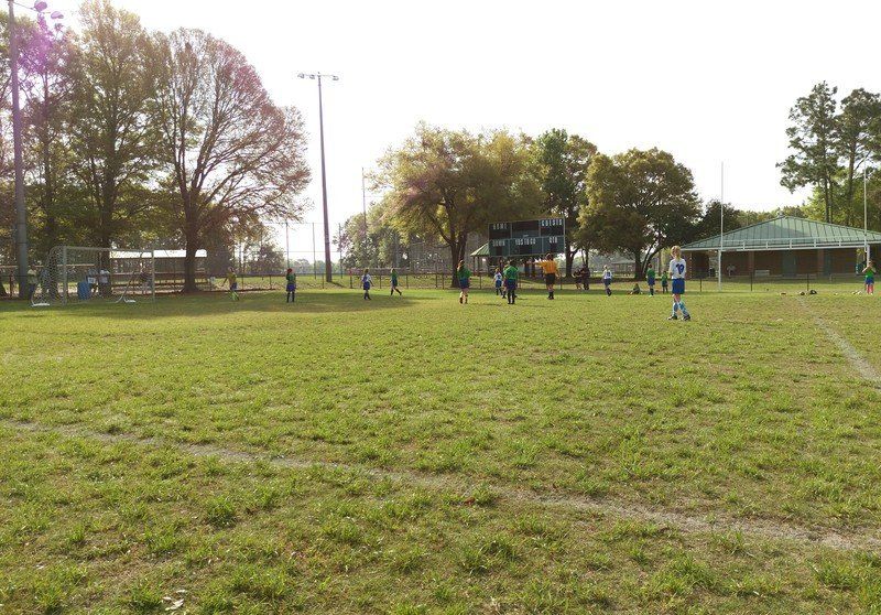 HTC One M9 sample pics