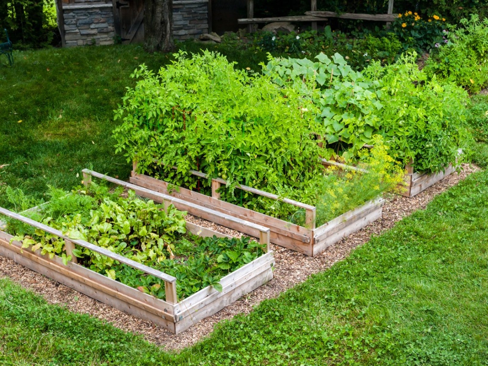 Raised Beds - Pros & Cons