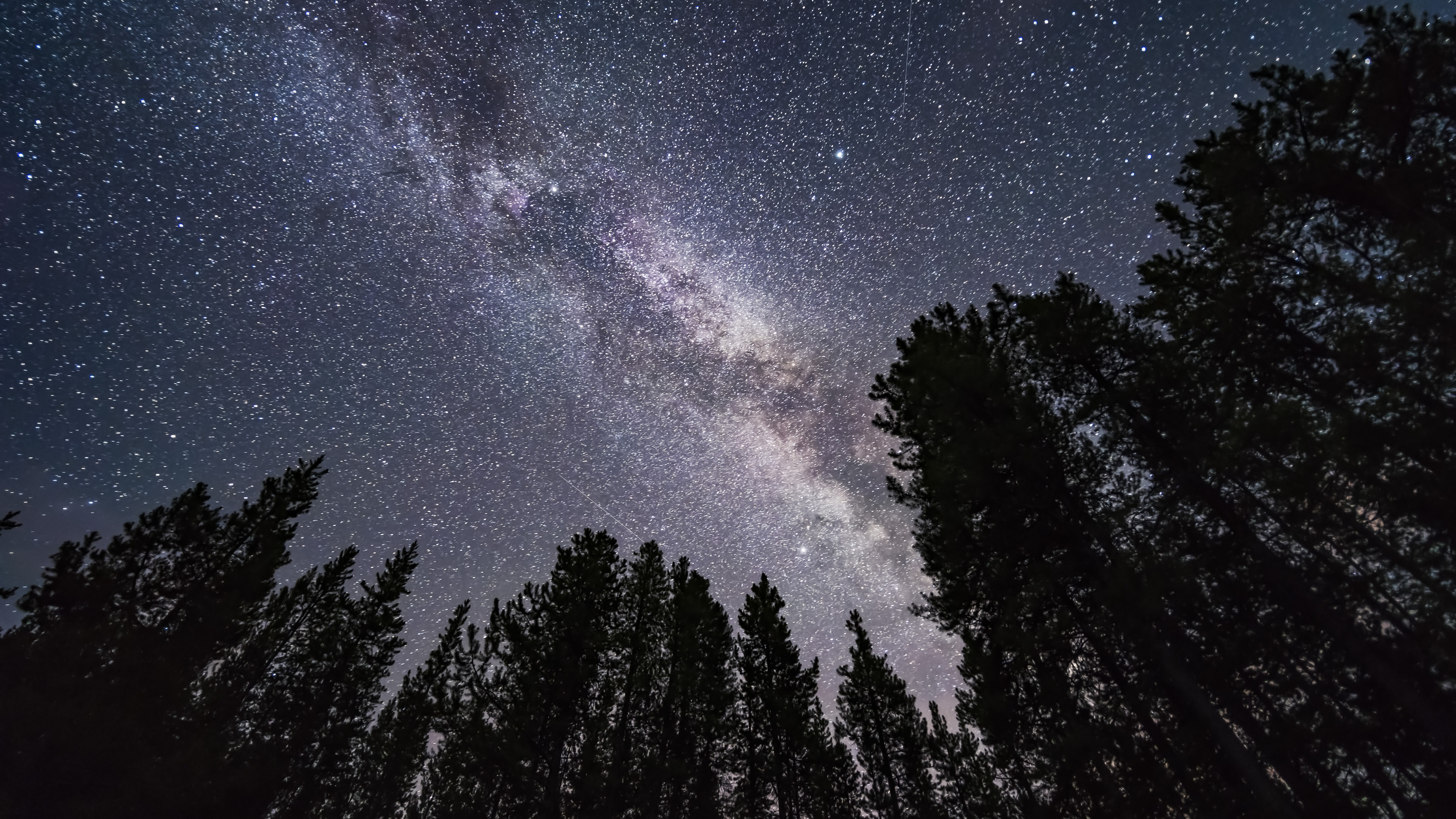 night sky stretching across the night sky as a thick band of stars. Trees are silhouetted against the night sky.