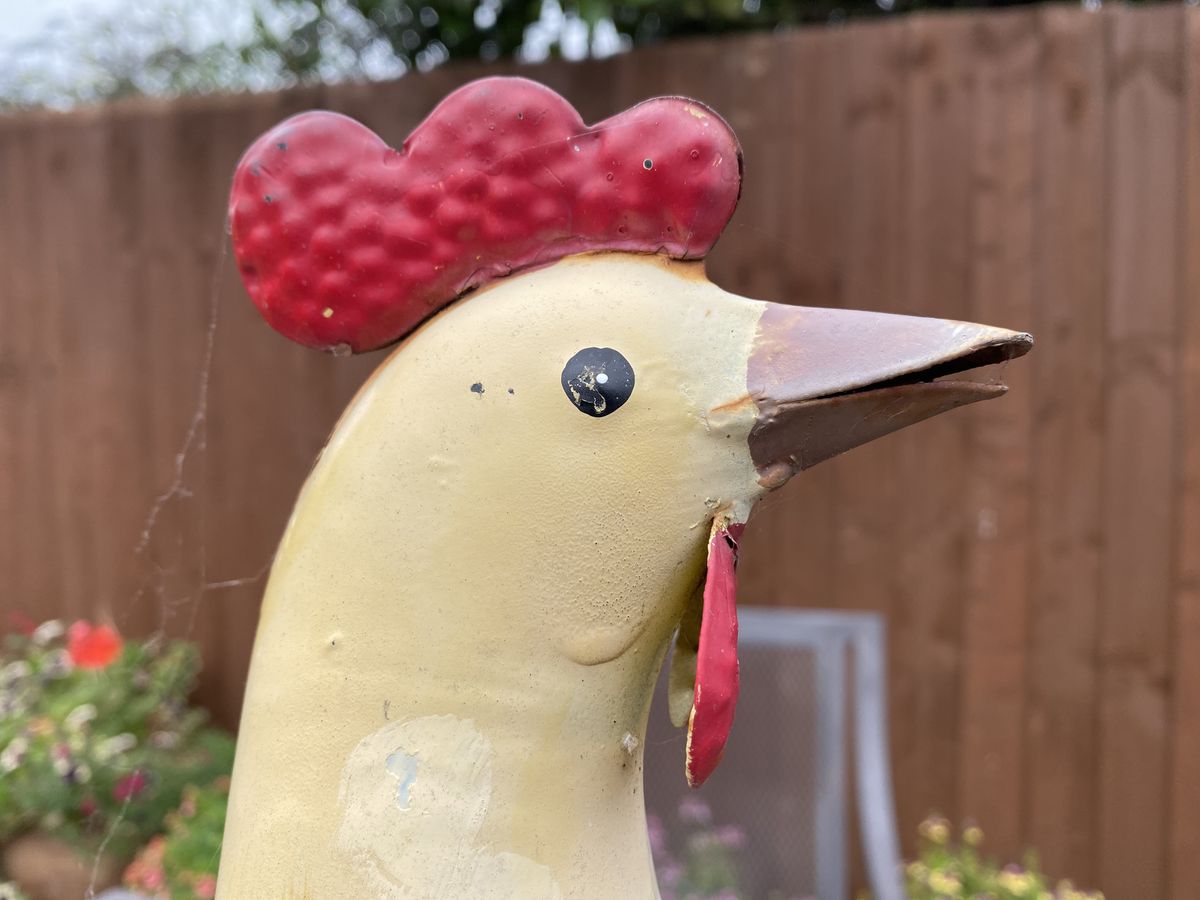 iPhone 11 camera