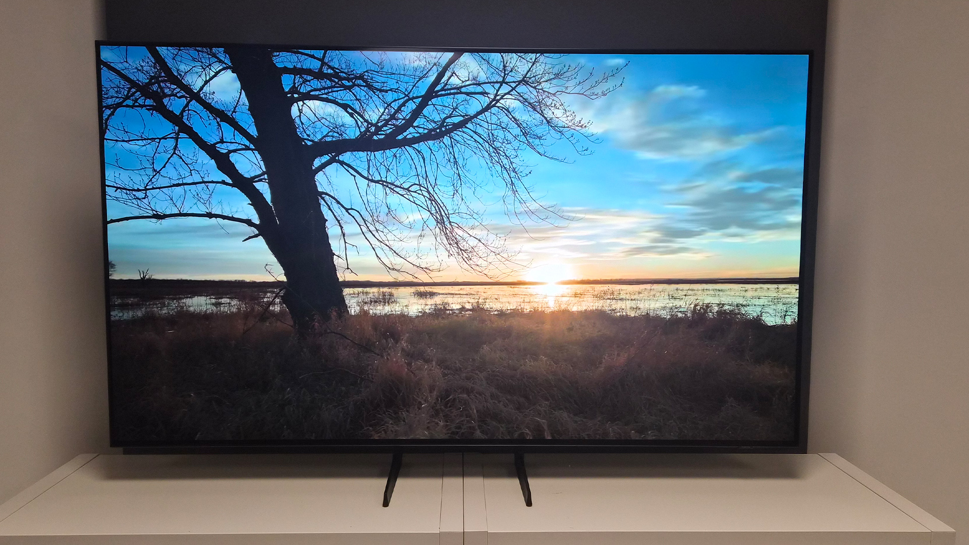 Samsung S85H OLED TV on screen is sunset over wetlands with tree in foreground