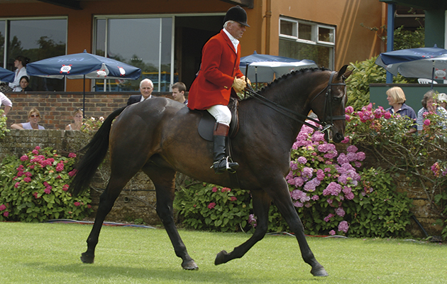 RIHS HIck. 22.07.04 Mister McEvoy supremem horse 2004