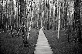 Use black-and-white textures