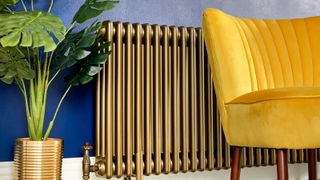 Gold column radiator against a dark blue wall with a yellow chair and plant in front if it