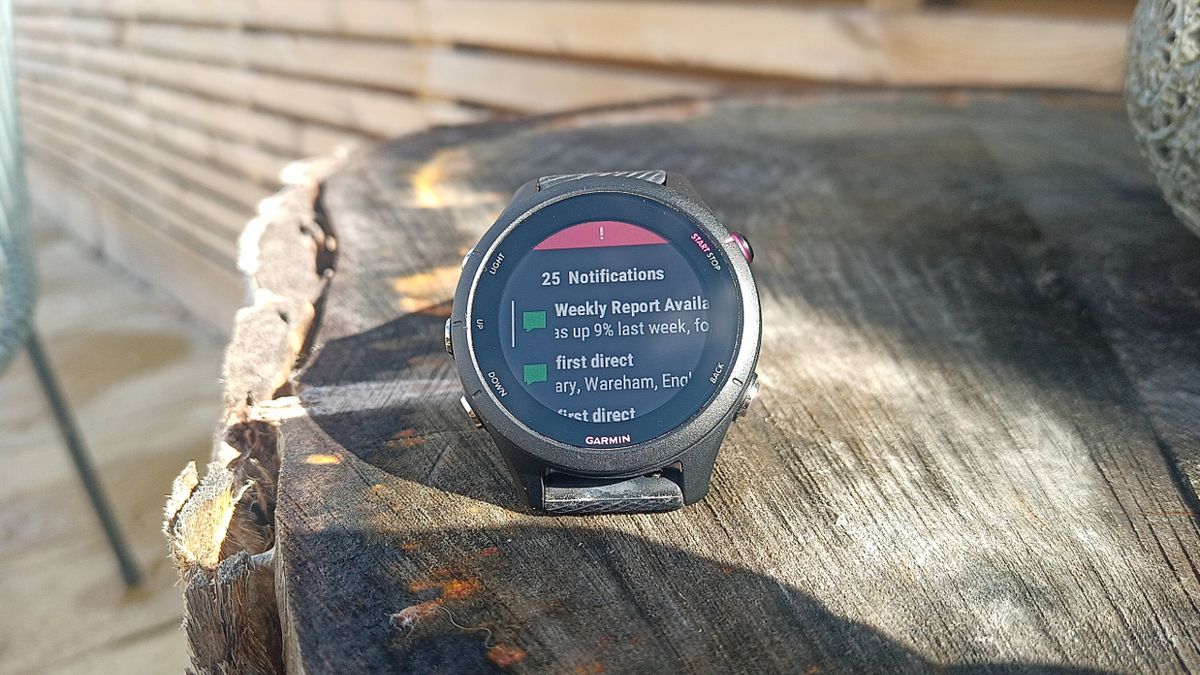 Garmin Forerunner 255S Music TechRadar