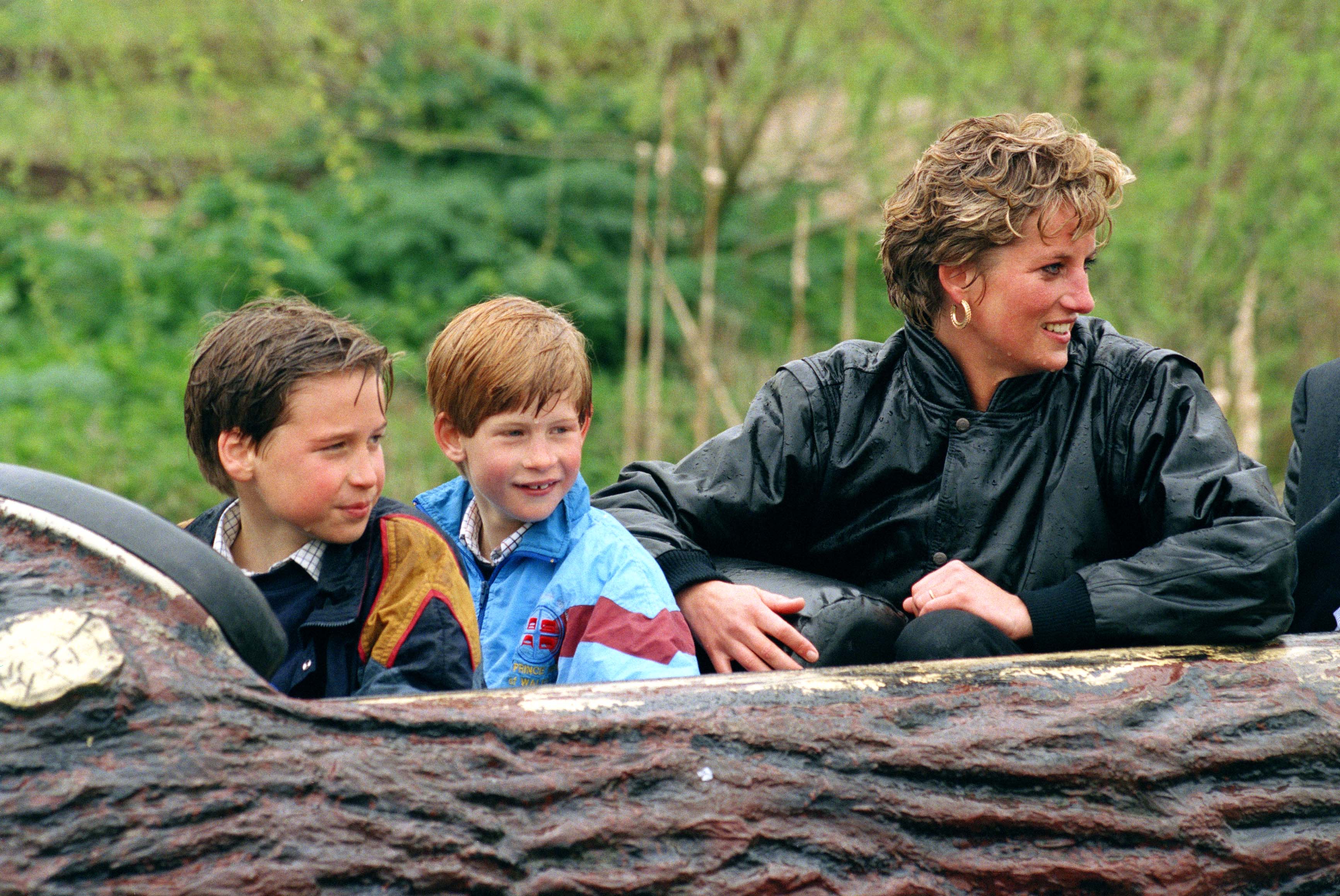 Princess Diana, Prince Harry and Prince William on a log flume