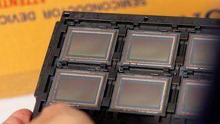 Pixii Max sensors in a tray