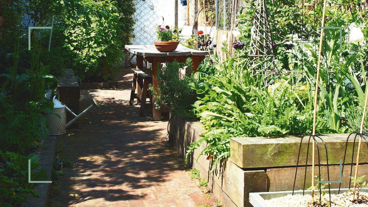 Le guide ultime du potager pour débutants, comprenant les meilleurs légumes faciles à cultiver