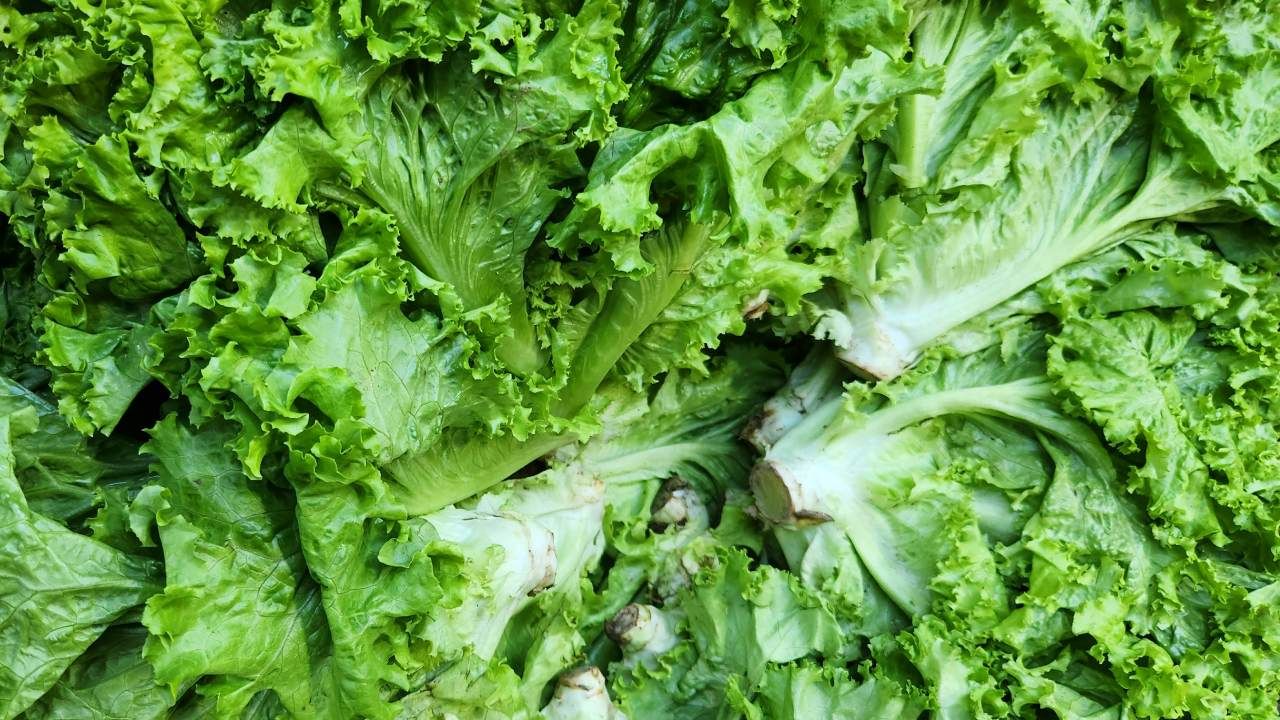TikTok’s latest sleep hack involves drinking lettuce water – but does it actually work?