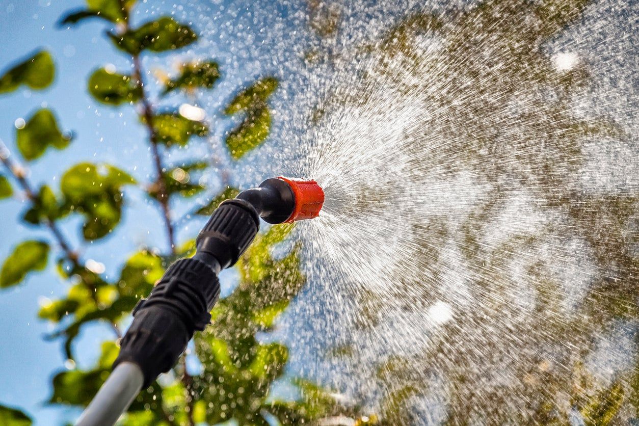 Spraying Weeds On Berm Tree