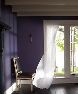 room with dark purple walls, black wooden floors, black chair, glass doors with sheer curtain