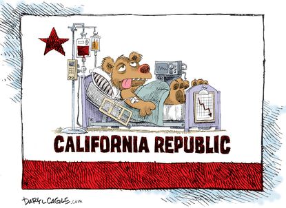 Editorial Cartoon U.S. California coronavirus flag