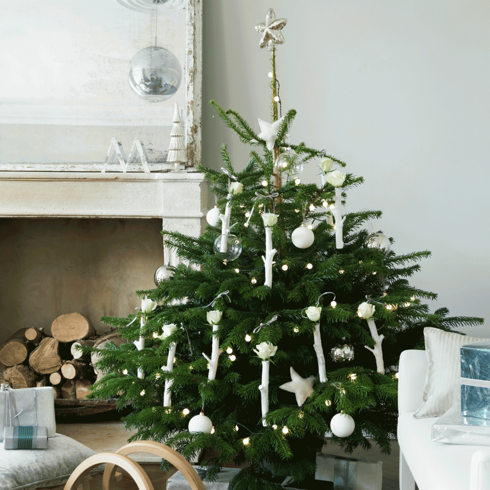 Green christmas tree with all white decor in a living room