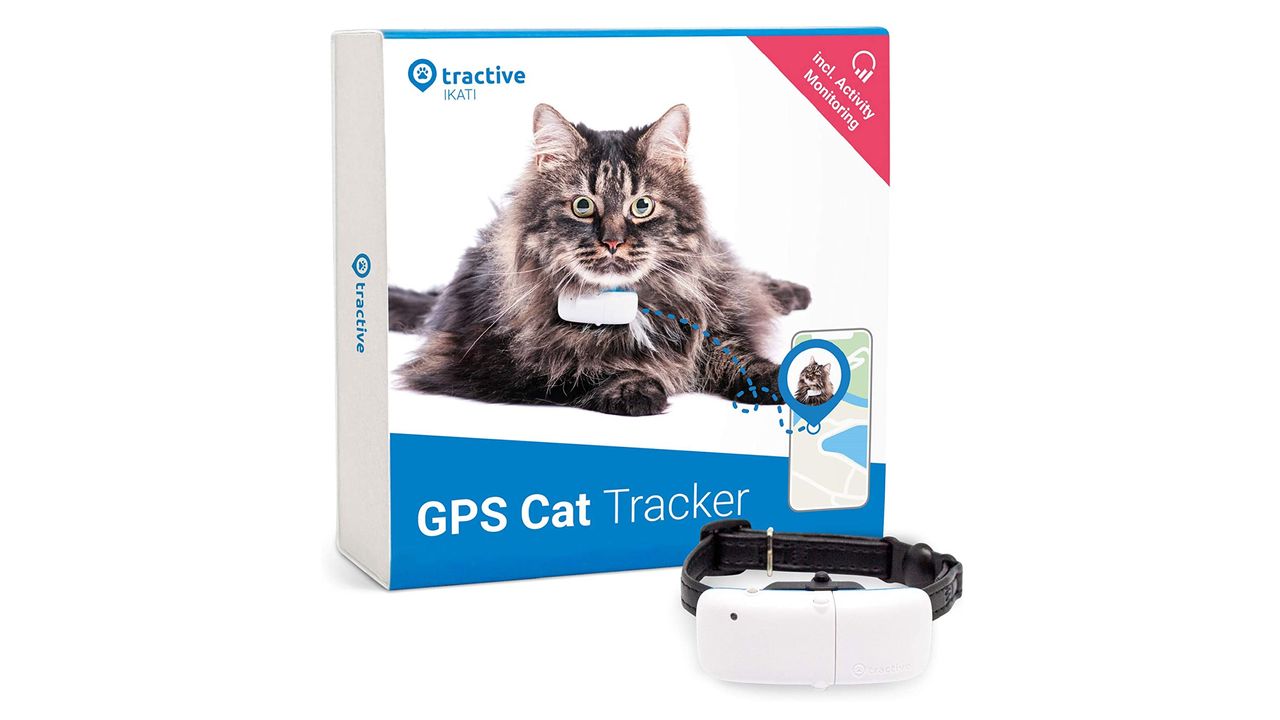 Best cat GPS tracker 2023 GPS trackers for adventurous kitties T3