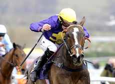 Gold Cup winner Lord Windermere is among the potential 2015 Grand National runners