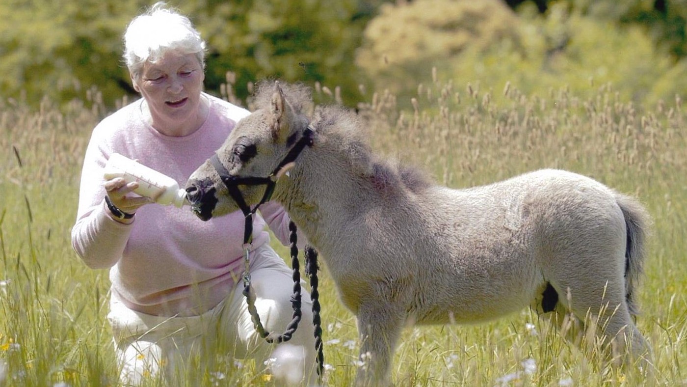 The founder of the Mare and Foal Sanctuary has died aged 83